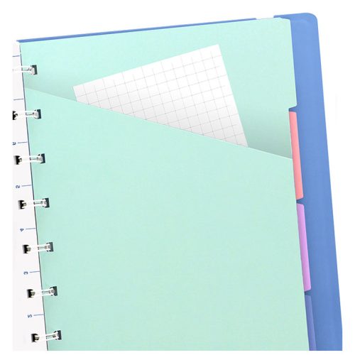 filofax notebooks blue index